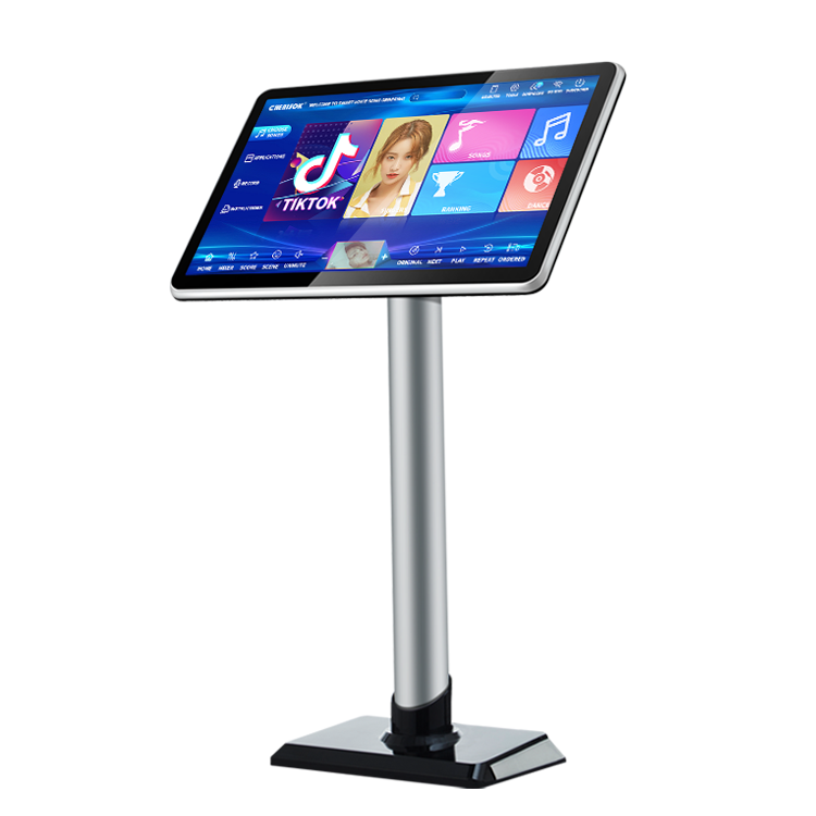 Home Bar Android - Sistema Karaoke Cinese da 40W con